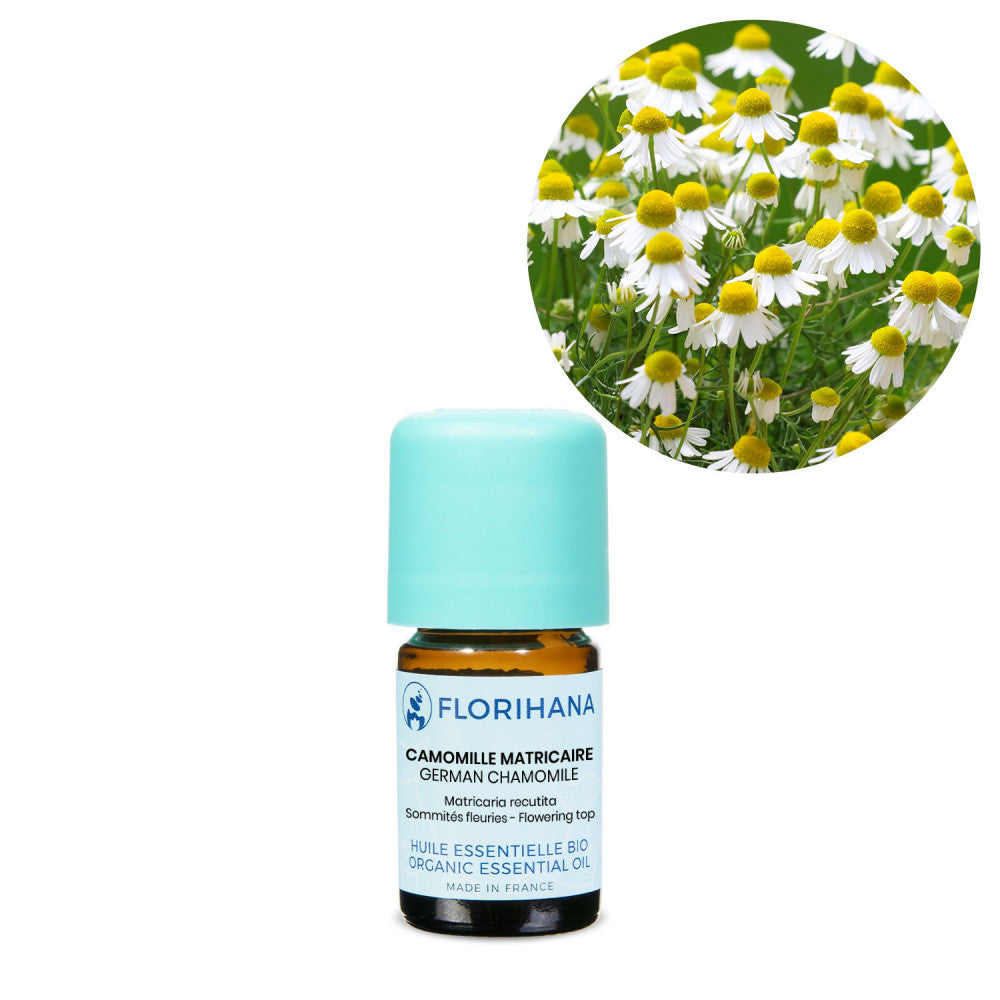 Organic German Chamomile Essential Oil (Blue Chamomile)