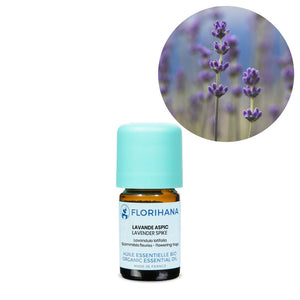 Lavender Spike Essential Oil - 5g