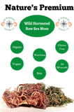 Pure Certified Wild Harvested Full Spectrum Organic Raw Sea Moss