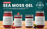 Black Seed Oil and Oregano Infused Organic Sea Moss Gel