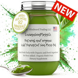 Matcha Green Tea Infused Organic Sea Moss Gel
