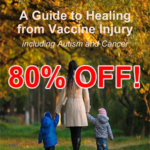 A Guide to Healing from Vaccine Injury eBook