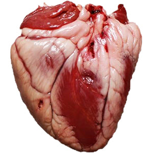 Grass-fed Lamb Heart - approx. 8 oz. package (8 pkg minimum)