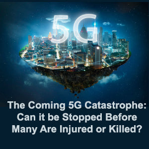 The Coming 5G Catastrophe: Can it be Stopped Before Many Are Injured or Killed? eBook