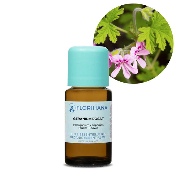 Plant Therapy Geranium Egyptian Organic Essential Oil | 100% Pure