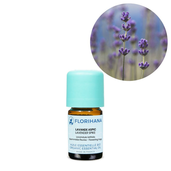 Lavender Spike Essential Oil - 5g
