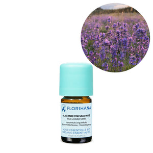 Lavender Vera Wild Essential Oil – 5g